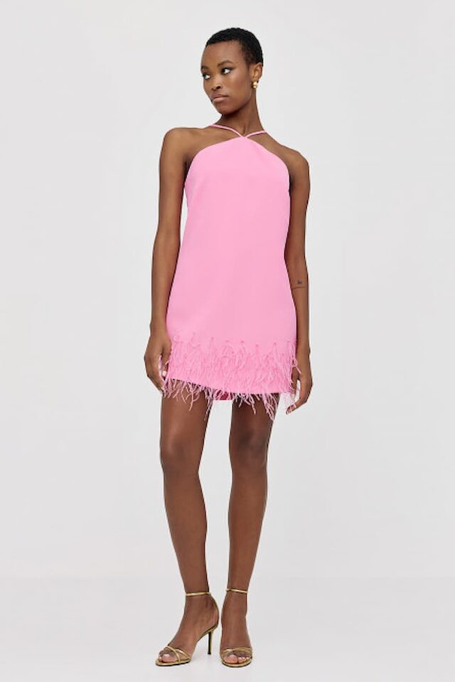 Access Mini Dress with Feathers